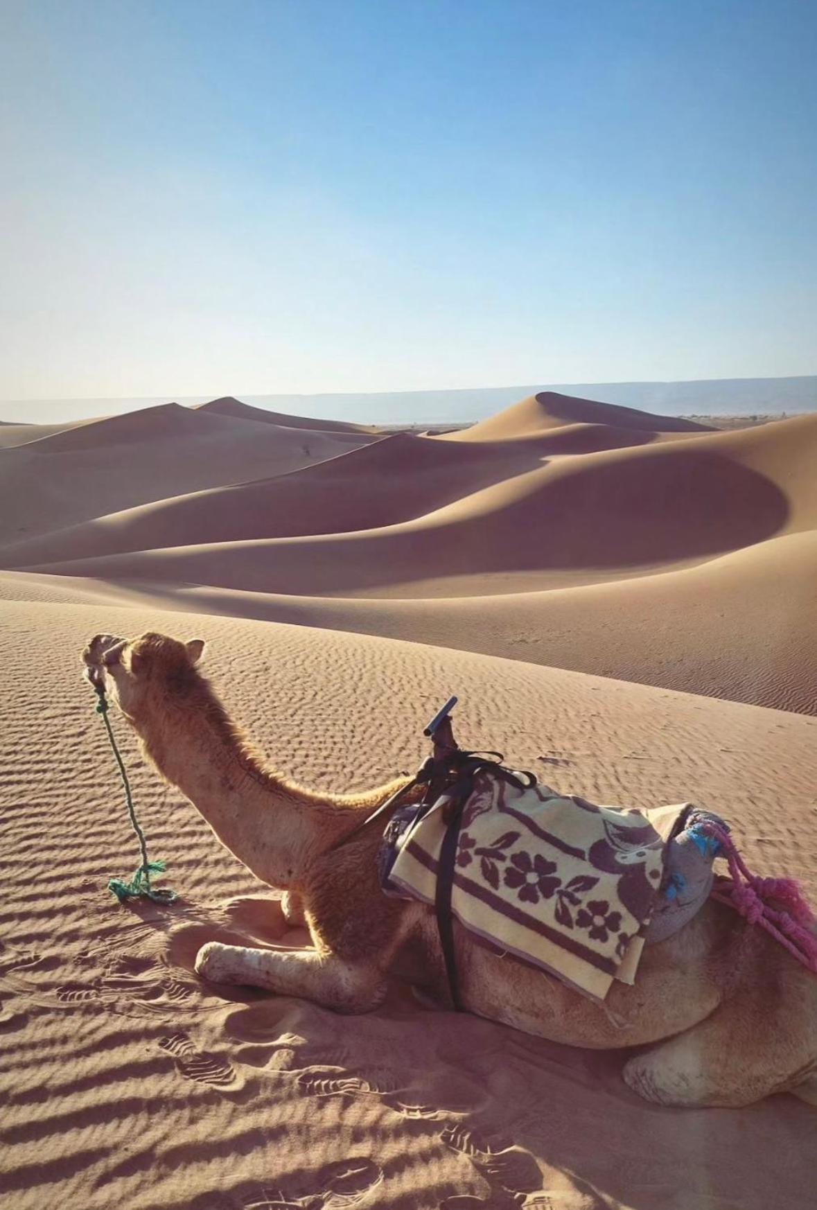 Desert Chegaga Luxury Camp El Gouera Εξωτερικό φωτογραφία